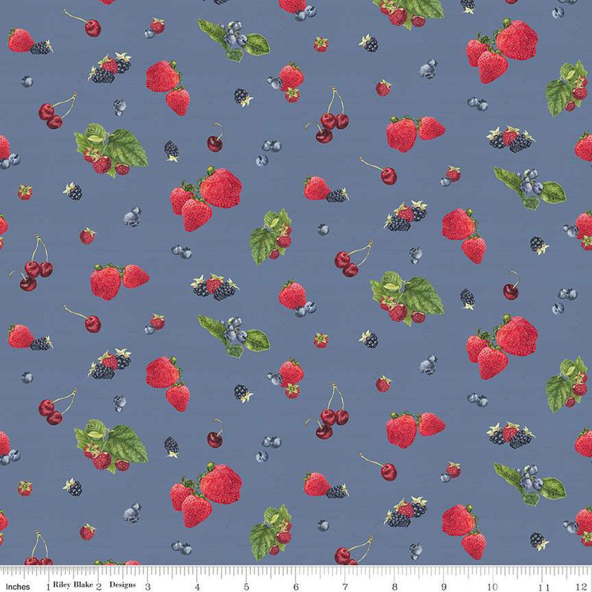 Berry Toss Denim from Monthly Placemats June by Tara Reed for Riley Blake - 1/2 Yard - Berry Fabric, Strawberry Fabric