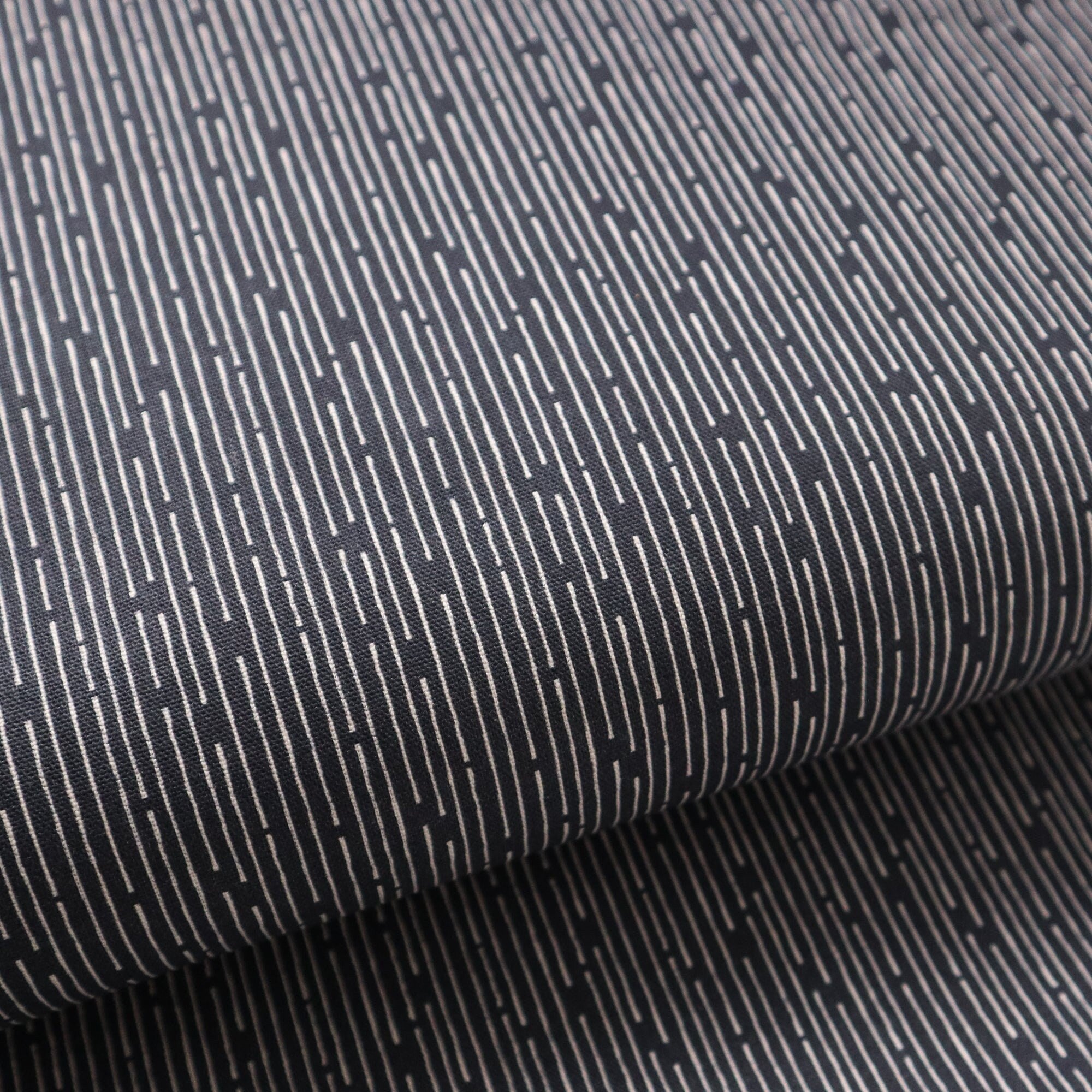 Line Up Black Organic Canvas from Line Up by Paintbrush Studio Fabric