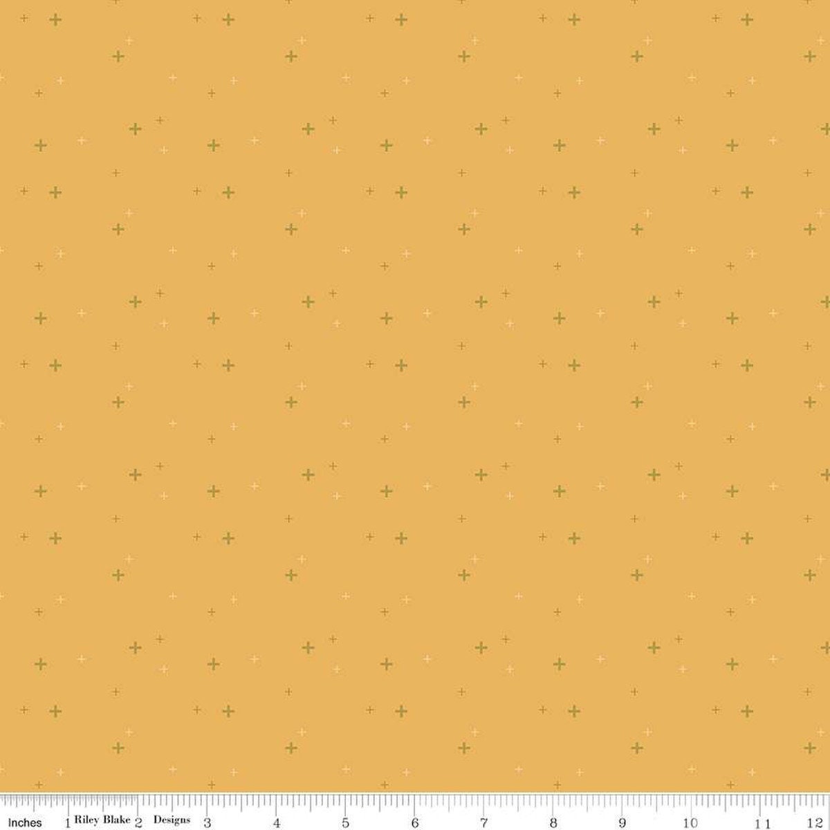 Daisy Sparkle from Sparkler Basics by Melissa Mortenson for Riley Blake - 1/2 Yard